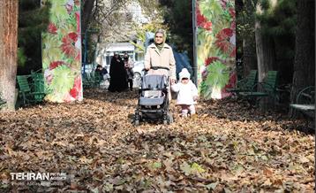 ضیافت طعم و رنگ در منطقه ۹ 15