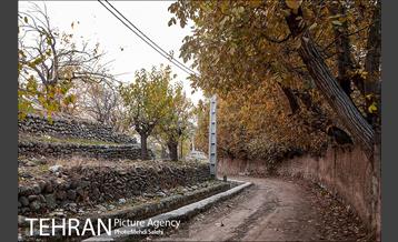 پاییز زیبای منطقه کن 11