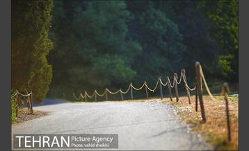 باغ گیاه شناسی ملی ایران  26