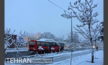 صبح برفی تهران 41