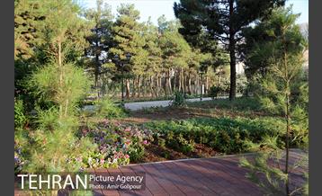 باغ راز هستی 27