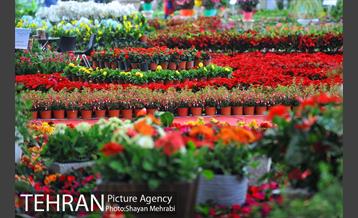 نمایشگاه بین المللی گل و گیاه 29