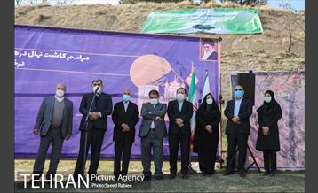 مراسم درختکاری در بوستان پردیسان 18