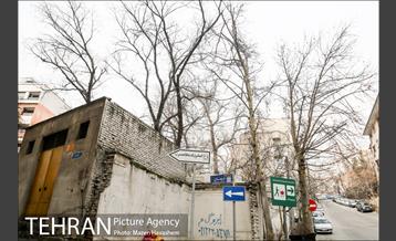 آستان مقدس امامزاده قاسم(ع) 15