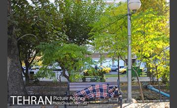 طبیعت پاییزی بلوار کشاورز 26