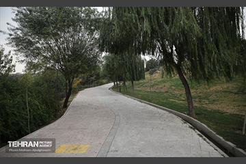 طبیعت پاییزی باغ راه فدک تهران 9