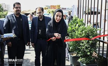 افتتاح ۲ بازار میوه و تره‌بار در تهران 16