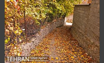 پاییز طلایی روستای افجه 6