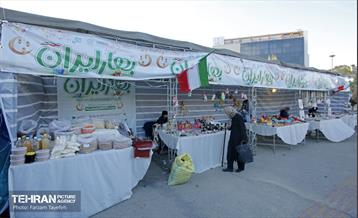 روز طبیعت در منطقه ۵ 11