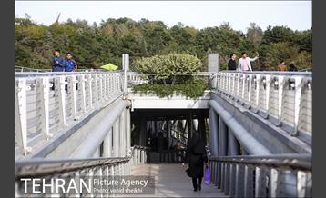 پل طبیعت در اولین روزهای پاییزیی 13