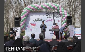 درختکاری و لانه گذاری کبوتر در بوستان بعثت 16