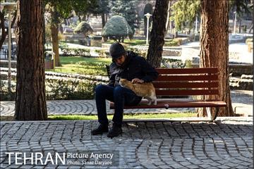 پارک ساعی 8