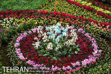 شانزدهمین نمایشگاه گل و گیاه تهران 27