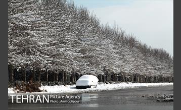 پس از یک روز برفی در پایتخت 25