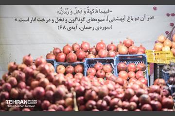 یازدهمین جشنواره صد دانه یاقوت 14