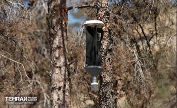 بازدید اصحاب رسانه از روند انجام عملیات احیای چیتگر 13