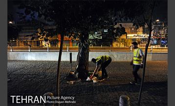 نظافت شهر توسط انجمن ها مردمی 16