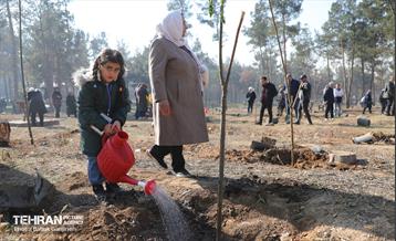 آیین یلدای مهربانی و کاشت نهال در بوستان سرخه حصار 21