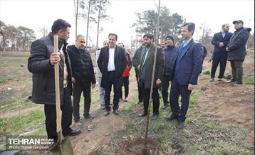 غرس 2000 نهال در بوستان جنگلی سرخه‌ حصار 7