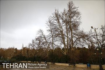 پارک ملت در یک روز زمستانی 13