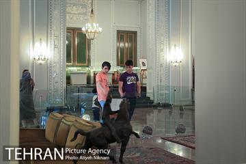 گشتی در کاخ نیاوران  14