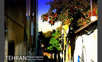 گذری در کوچه پس کوچه های محله کن‎ 6