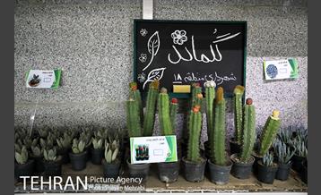 طرح گلماند در منطقه 18