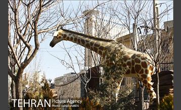 پارک ژوراسیک 7