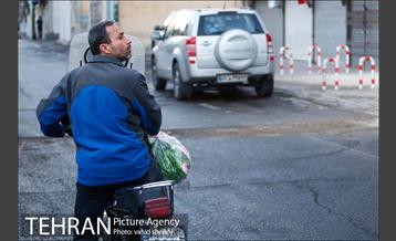 پلمپ پاساژ امیر کبیر  11