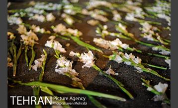 بازدید از ایستگاه های شهدای آتش نشان پلاسکو-2 8