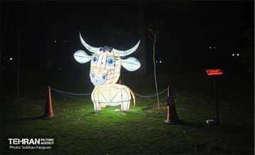 جشنواره نور تهران در بوستان ملت 38