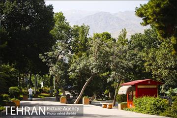 بوستان قیطریه 27