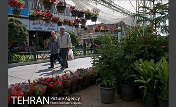 نمایشگاه گل و گیاه نوروزی در پیاده راه ۱۷ شهریور