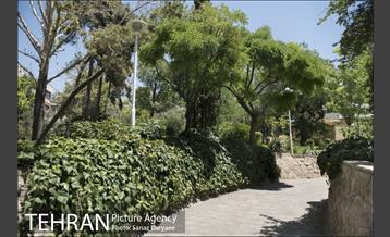 بوستان شفق‎ 30