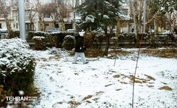 روز برفی در منطقه 8 31