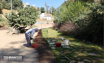 بازدید شهردار تهران از پروژه‌های عمرانی شهری 14