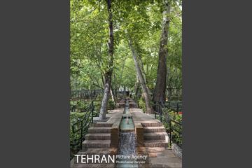 بوستان باغ ایرانی 39