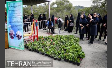 آیین غرس پنچ هزار اصله نهال در اراضی جنگل لویزان 4