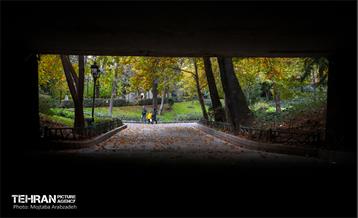 سمفونی رنگ های پاییزی - پارک ملت 13