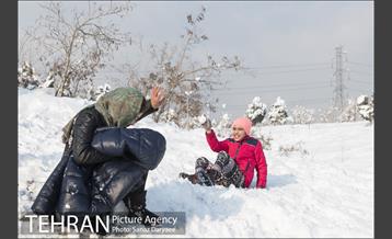 جشنواره مجسمه های برفی 5