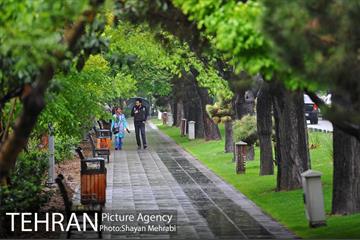 باران بهاری در تهران - 2 9