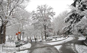 صبح برفی بوستان ملت 16