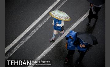 پیاده روی خانوادگی 15