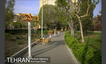 روز طبیعت در بوستان هاى منطقه ٥