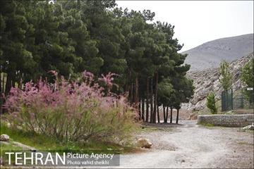 پارک ملی سرخه‌حصار 25