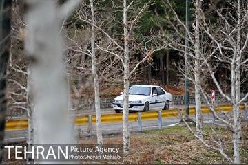 سیزدهمین رالی خانوادگی شهر تهران 33