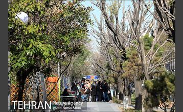 بازدید مسجدجامعی و الویری از نوروزگاه بلوار کشاورز 1