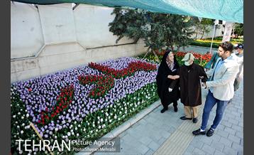 پیاده راه لاله مادران 19