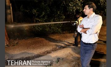 یک شب با محمدعلی کریمی؛ شهردار شب تهران 24