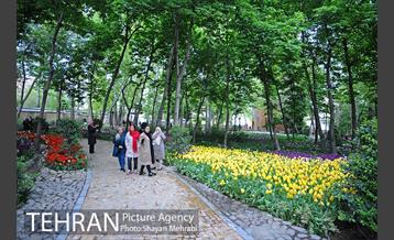 باغ ایراتی (بوستان مهندس مختاری) 25